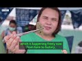 How Thailand's lucrative cannabis industry is under threat - BBC World Service Documentaries