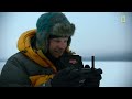 Emperor penguin chicks jump off a 50-foot cliff in Antarctica NEVER-BEFORE-FILMED FOR TV | Nat Geo