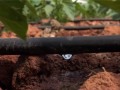 Drip Irrigation - A Detailed Overview