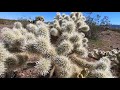 Wilson Ranch Wildlife Area - AZ Fish+Game - Kingman Arizona