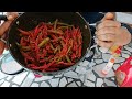 ਮਿਰਚ ਦਾ ਆਚਾਰ ਬਣਾਓ 2 ਤਰੀਕੇ ਨਾਲ |   Mirch ka aachar | 2 Types of Chili pickle by Punjabi Corner