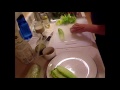 The Do It Sick Chef Makes Lettuce Roll Ups 10 23 15