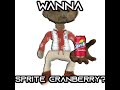 Wanna sprite cranberry?