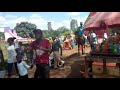 UHURU PARK GARDENS NAIROBI TURNING TO BLUES AGAIN PART1