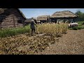 Medieval Dynasty | How to FARM🌾| Guide to Farming, Fields, Seeds, Manure, Barn, Tips & Tricks👨‍🌾 !