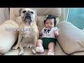 My Dogs Fall In Love With Our Baby | The Full Story