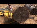 McCulloch 895 Pure Vintage Chainsaw Sound