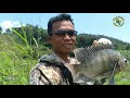 PASER MANIA,,poin ikan cantik dan mahal,,di tempat kalian ikan apa namanya?