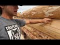 1 Year of Building My Log Home / 1561sqft Build By Rookie Builder