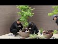 Create a 'Hidden Private Moss Garden' | 숨겨진 나만의 이끼 정원 만들기