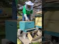 Paul Dumps Bees