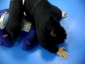 korea jiujitsu johnfrankl bjj ratel yellow