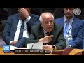 Suffering Of Palestinians Is Israel’s Goal: Envoy Ryad Mansour At UNSC Moot | Dawn News English