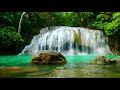 Relaxing Music with Water Sounds   Peaceful Ambience for  Relaxation, Yoga, Spa