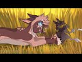 We Choose Our Fate (No Angels) | Complete Hawkfrost AU MAP