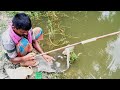 বরশি দিয়ে মাছ মারার মনমুগ্ধকর একটি দৃশ্য | HOOK FISHING VIDEO 2024