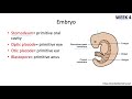 Head & Neck Anatomy | Embryology & Pharyngeal Arches | INBDE