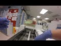 Behind the scenes: What happens to a blood sample?