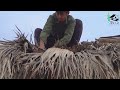 Building a hut to prepare for building a bamboo house during the storm and flood season