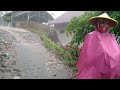 2 Hours Super Heavy Rain and Thunder in Remote Village | Fall Asleep Fast ASMR