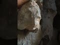 meteorite rock