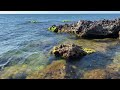 Морские волны плескаются среди нескольких красивых камушков с водорослями, шум моря