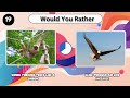 Would You Rather Animal Edition