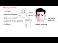 Anatomy - Carotid Artery (Carotid artery disease, aneurysm, dissection, amourosis fugax)