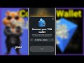 Connect Hamster Kombat To Wallet To Withdraw