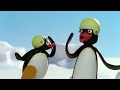 Pingu's Favorite Games 🐧 | Fisher-Price | Cartoons For Kids