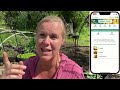 🌱 Top 5 Companion Plants for Summer Squash + a Bonus Tip to Help Battle Squash Bugs!