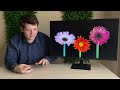 Samsung M7 | The Smart Monitor With 4K Review