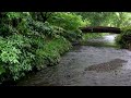 River Water and the Refreshing Rain - Magical Rain Sounds that Immediately Put You to Sleep.