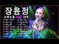 장윤정 노래모음 ♫ (광고없이 )듣는 장윤정 노래모음 ♫ 노래모음 BEST 20곡 반복재생