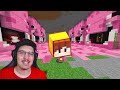 Mobs do Minecraft CAPTURADOS NA VIDA REAL