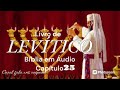 LEVÍTICO CAPÍTULO 25 #biblianarradaemaudio