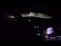 Rally Monte-Carlo 2024 | Helmet POV Oliver Solberg Day & Night