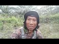 HUNTING TUPAI RUAK RUAK TEKUKUR EDISI JOKI KURANG VITAMIN@pendisangpetualang