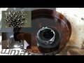 Playing With Ferrofluid!