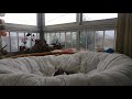 Max the cat staying safe at a rainy quarantine (4k)