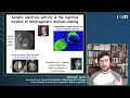 Michael Levin - Plasticity w/out genetic change: bioelectric embryos & synthetic proto-organisms