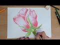 let's draw a beautiful rose/Part fourth