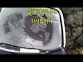 낚시하기 좋은 날! 구을비도 등대1번 긴꼬리 벵에돔