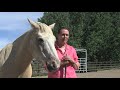 THE HIDEOUT LODGE & GUEST RANCH  - As seen on HorseTV Global on Roku.