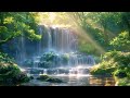 Relax With The Sound Of Flowing Water & Birds Singing In The Forest | Enchanting Waterfall Video