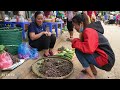 Harvesting Fireballs Fruit goes to the market sell - Build Farm - Lý Thị Ca