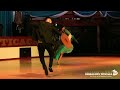 Marinera Norteña - Marinera de Corazón | Brisas del Titicaca Elenco de Danzas