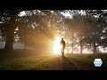 Relaxation Music: Calming Music for Sleeping, Stress Relieving Music - FSC Relaxation