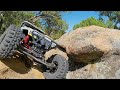 Axial Wraith Spawn gettin out for a Crawl!!