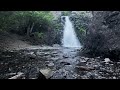 Very Short Hike Leg Stretcher to Dog Creek Falls! | Columbia River Gorge White Salmon Washington 4K